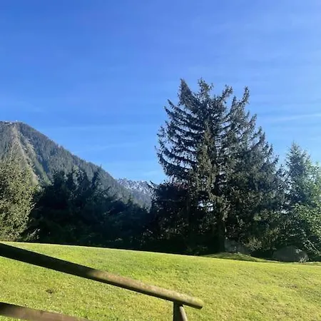 Les 2 Chamois - Duplex A Lejlighed *