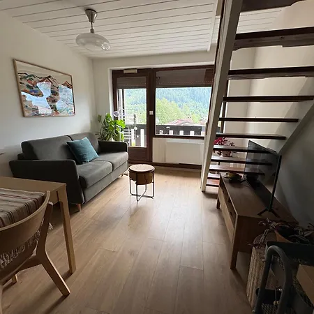 Les 2 Chamois - Duplex A Apartman Chamonix